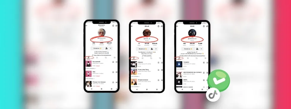 Certification d’Artiste TikTok : Valorisez votre profil artiste